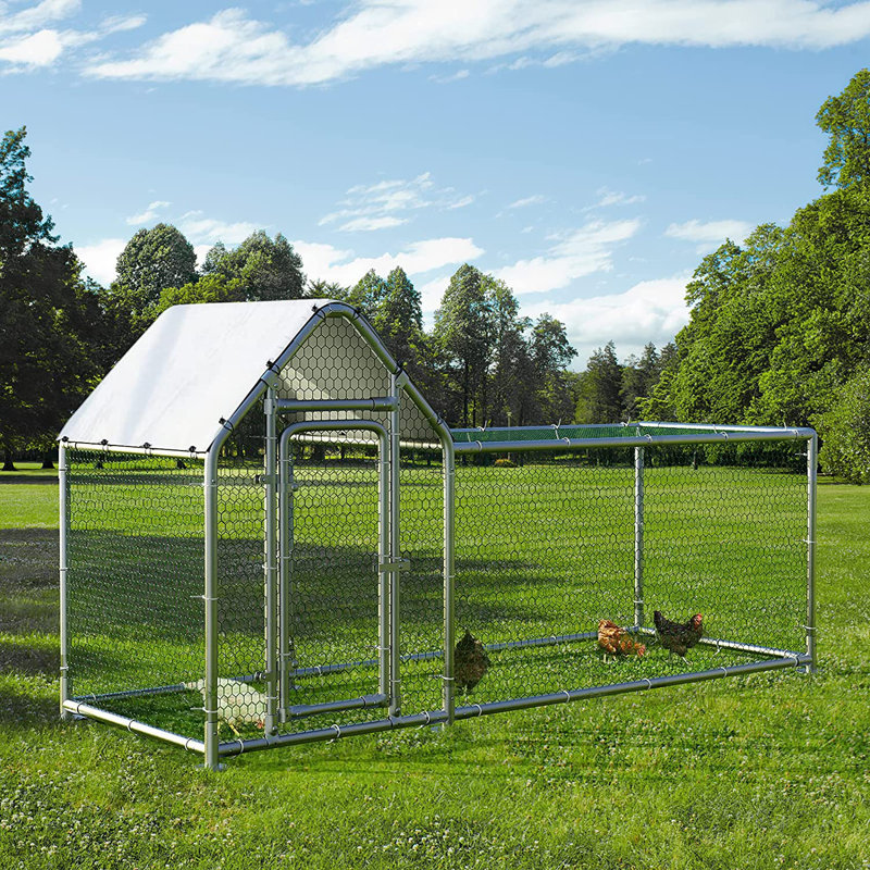 VITESSE 32.4 ft² Walk in Chicken Coop & Reviews | Wayfair